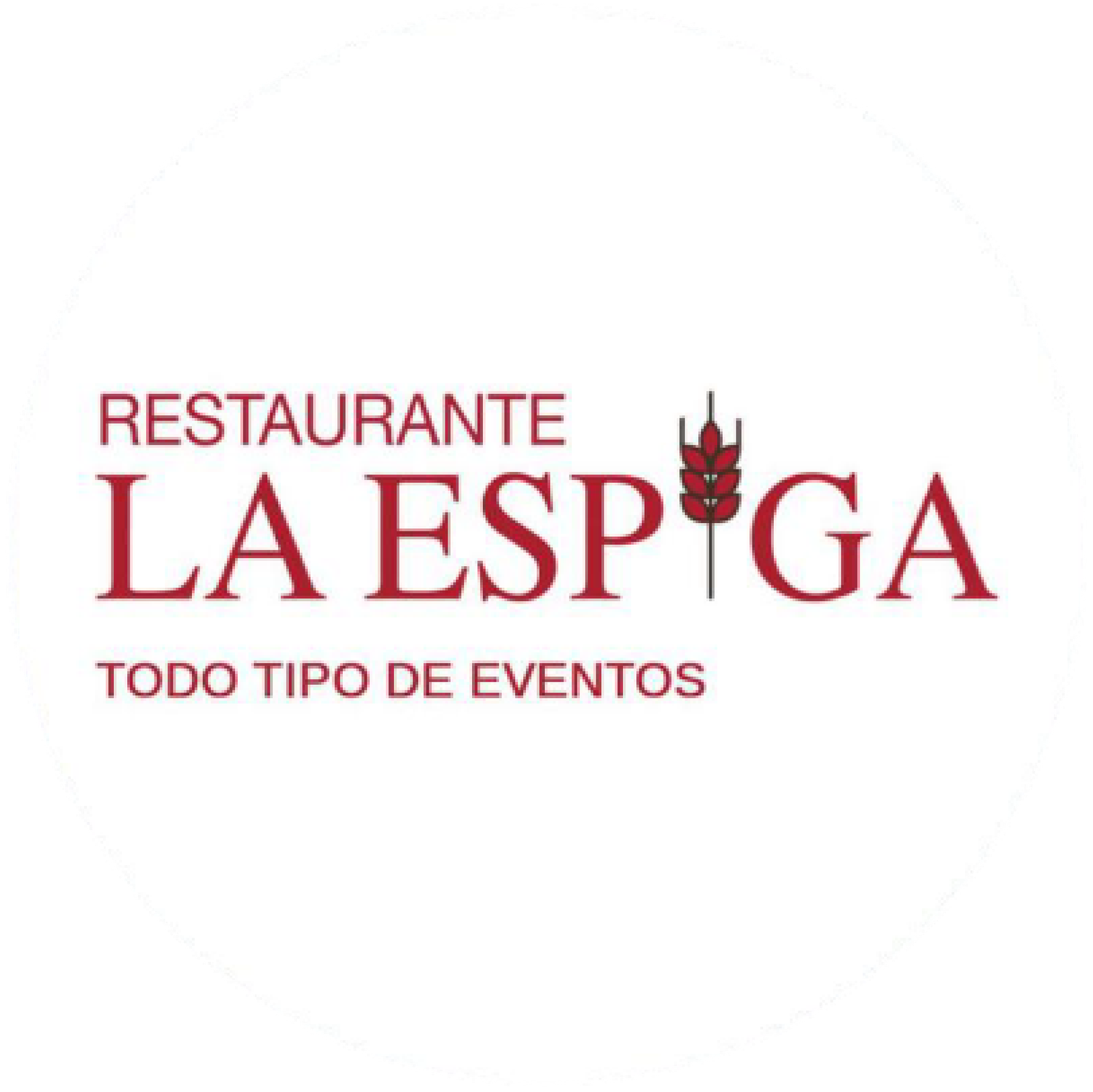 laespigarestaurante.es